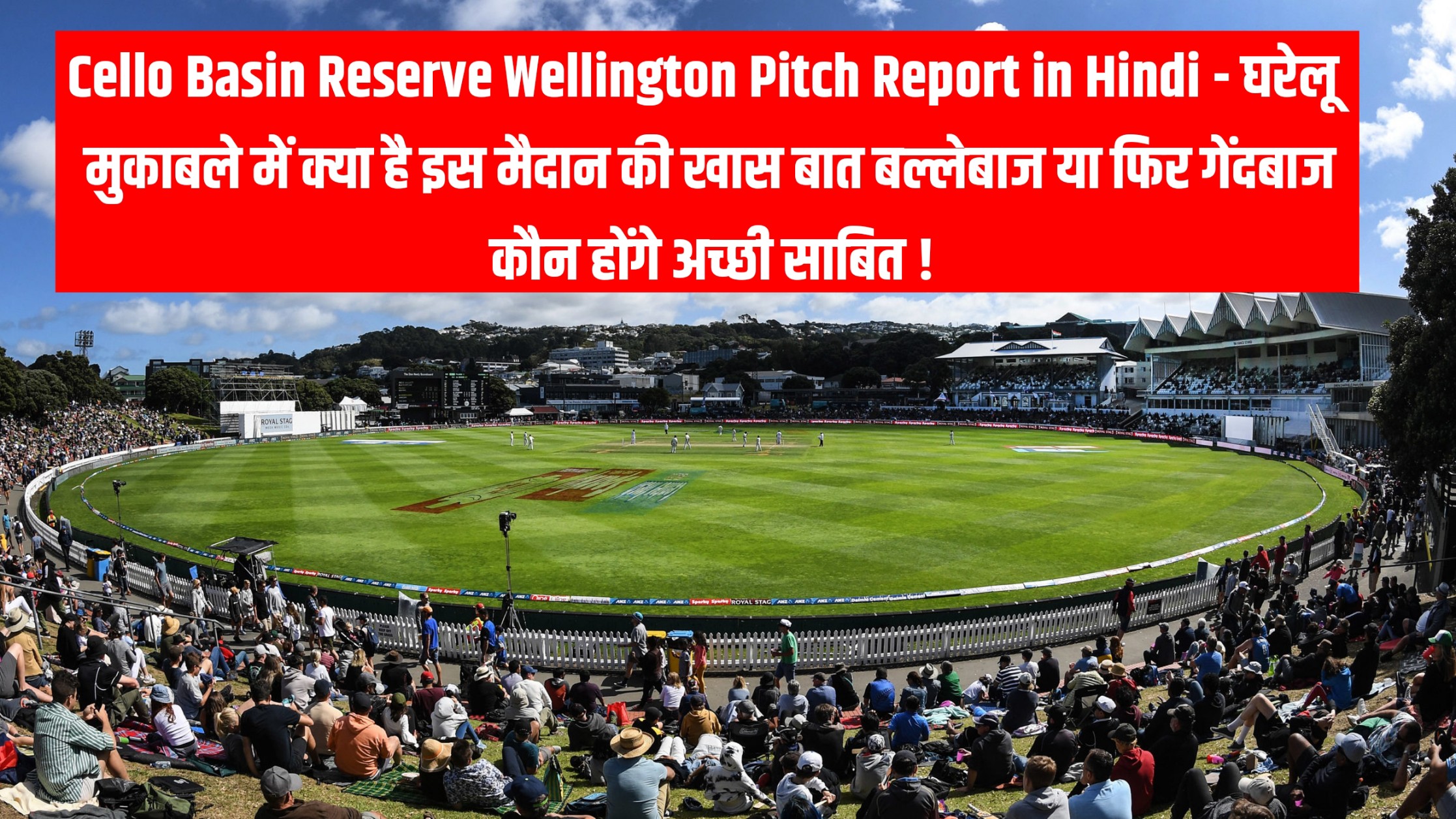 Cello Basin Reserve Wellington Pitch Report in Hindi