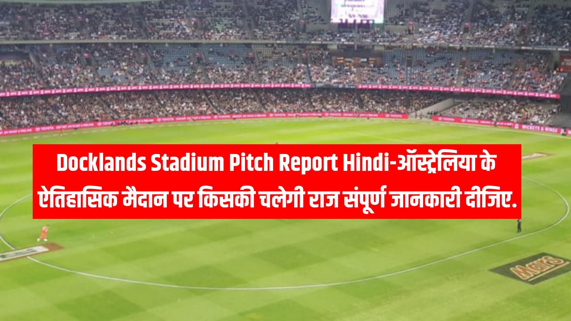 Docklands Stadium Pitch Report Hindi