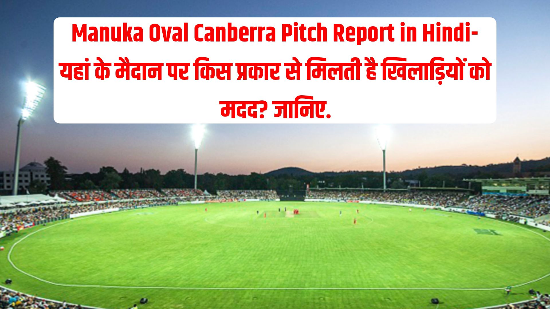 Manuka Oval Canberra Pitch Report in Hindi