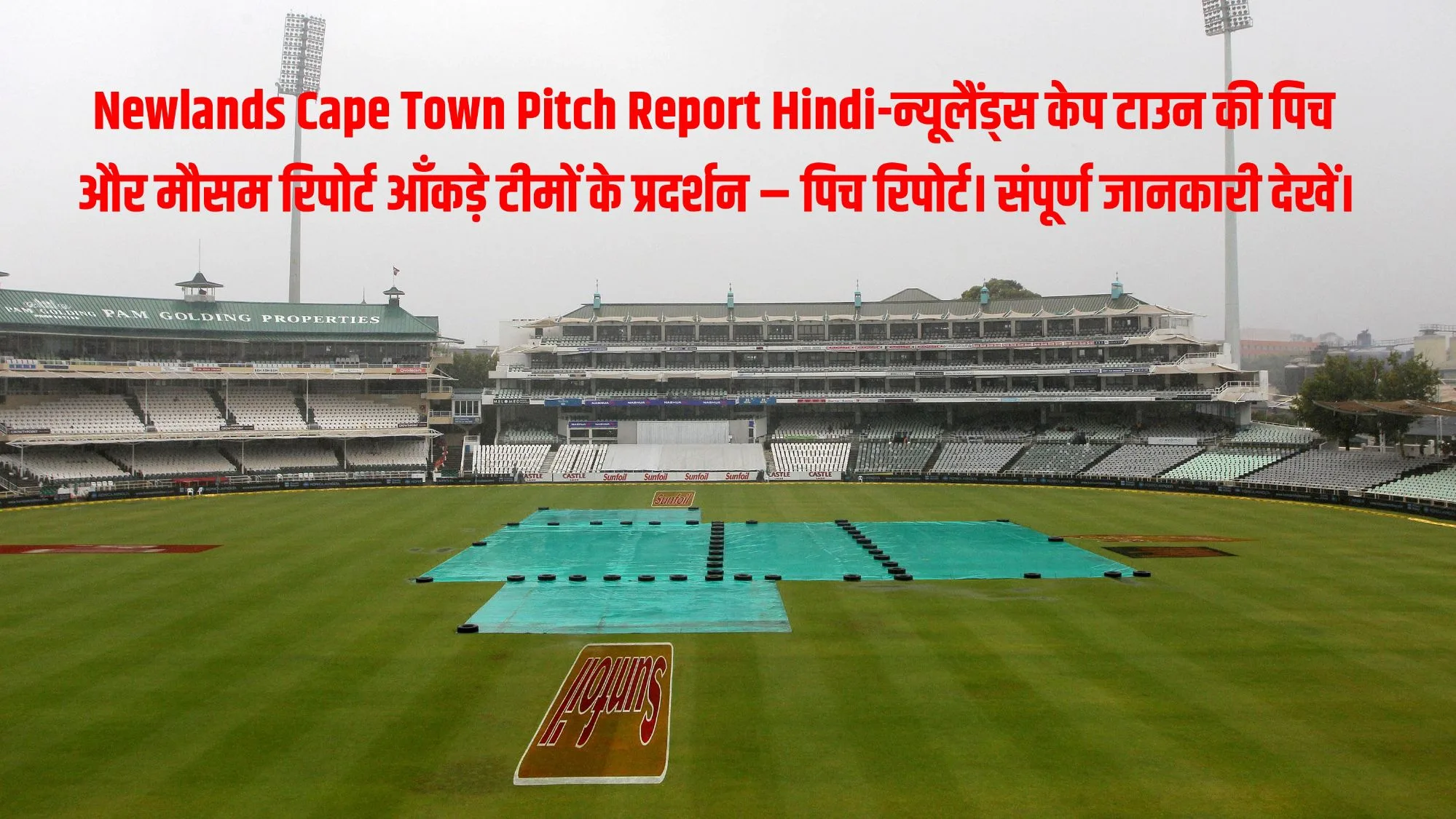 Newlands Cape Town Pitch Report Hindi